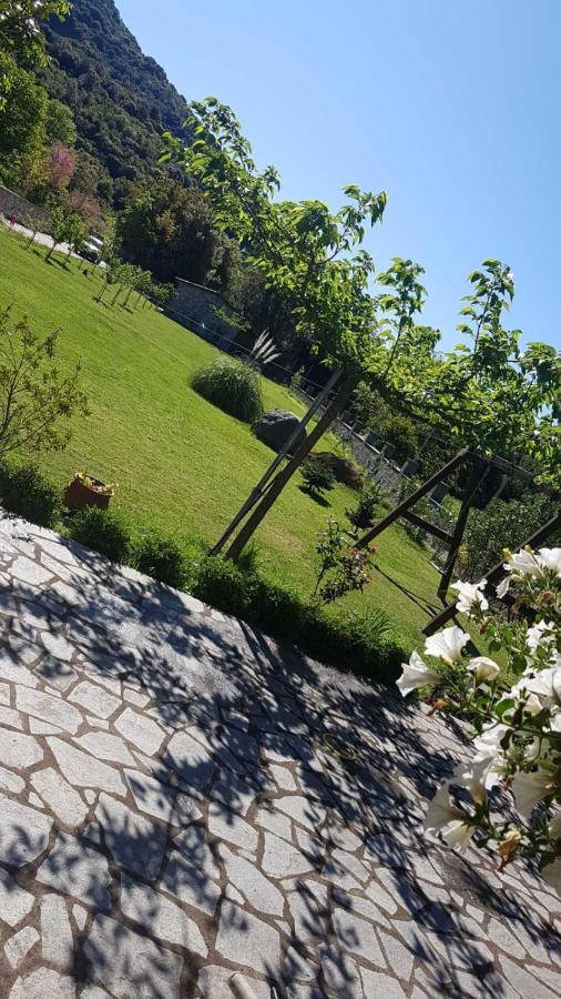 House With Big Garden And Barbeque In Nature Vourgareli Bagian luar foto