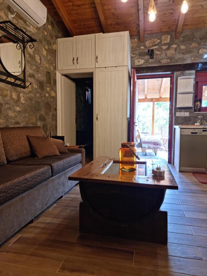 House With Big Garden And Barbeque In Nature Vourgareli Bagian luar foto