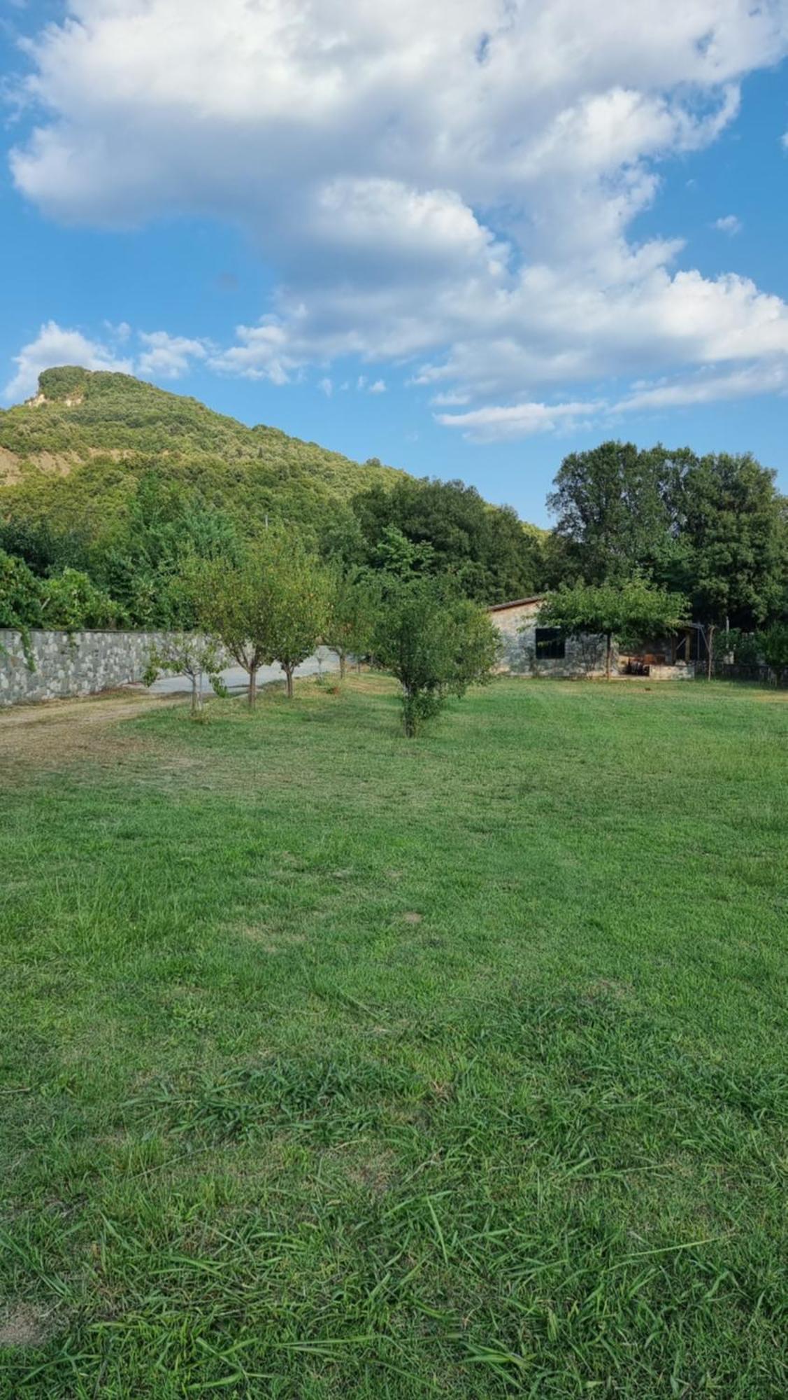 House With Big Garden And Barbeque In Nature Vourgareli Bagian luar foto